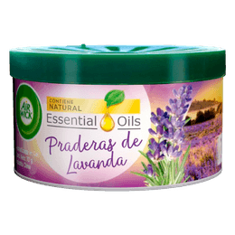 1000x1000_Lavanda.png